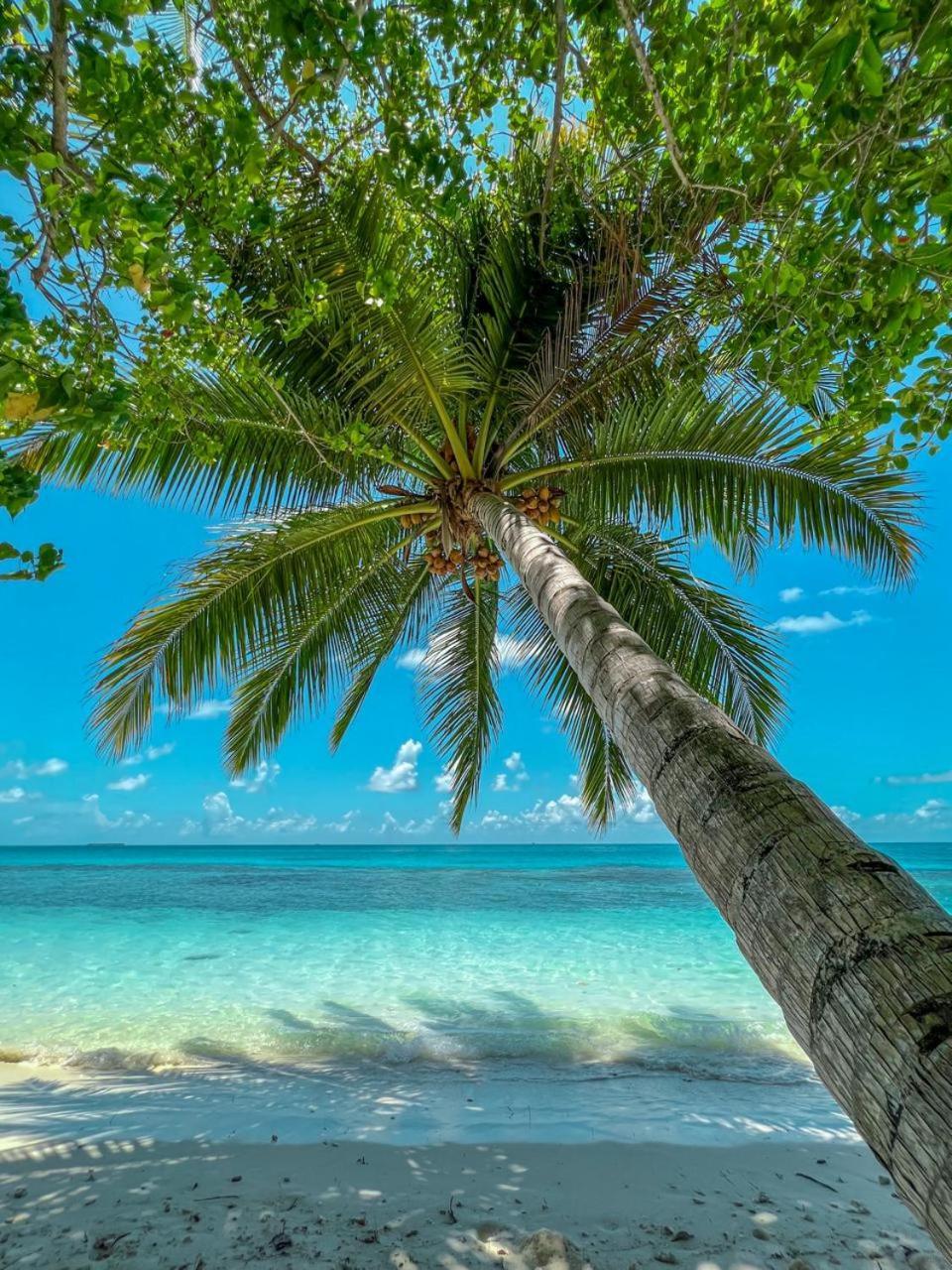 Infinite Lagoon Mandhoo Exterior photo